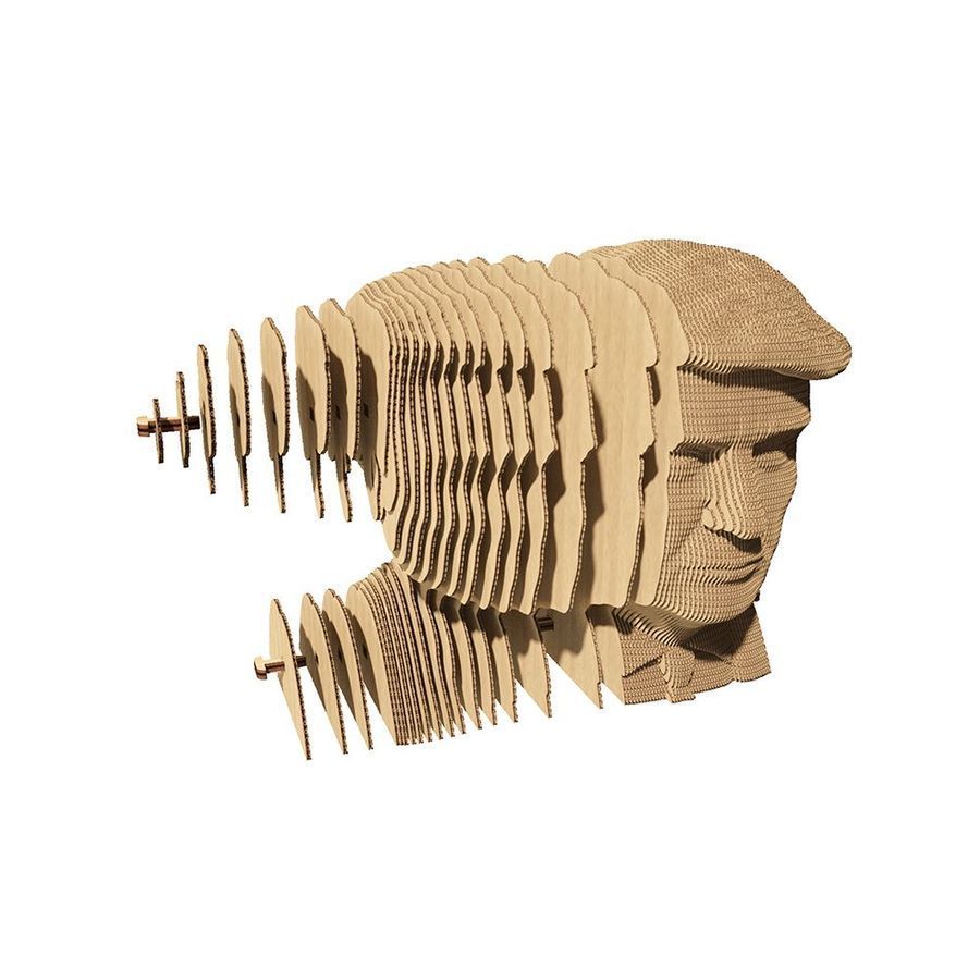 Картонний 3D пазл DONALD T