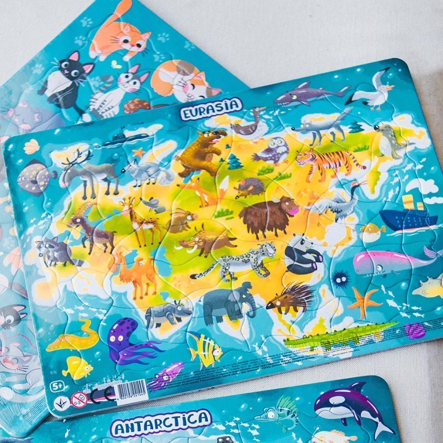 Набір пазлів з рамкою DoDo 6 континентів