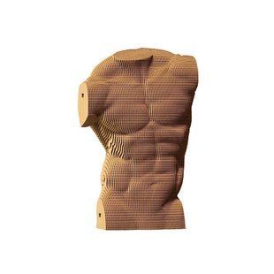 Картонний 3D пазл MALE TORSO