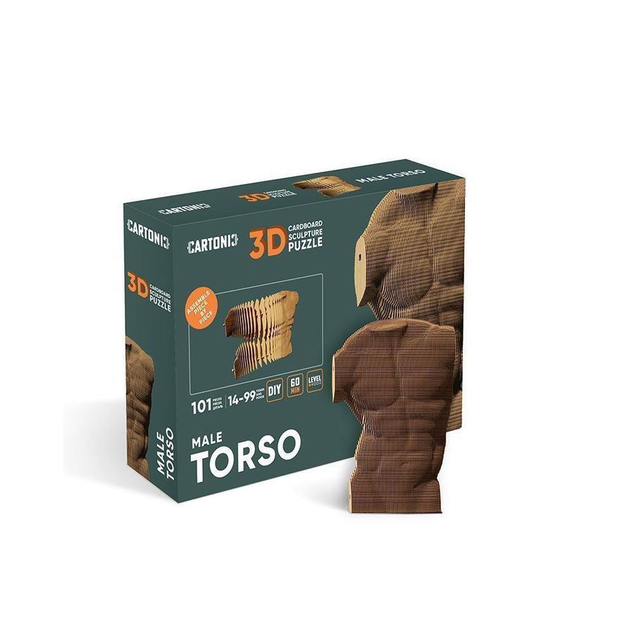Картонний 3D пазл MALE TORSO