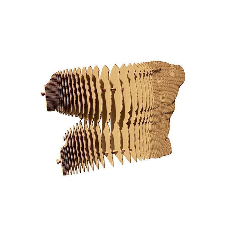 Картонний 3D пазл MALE TORSO